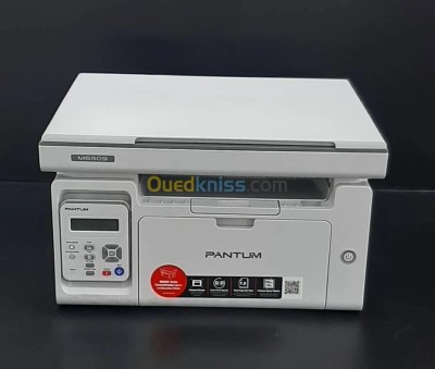 Imprimante Pantum Multifonction A4 laser 3 en 1 M6509NW avec WiFi Noir et Blanc