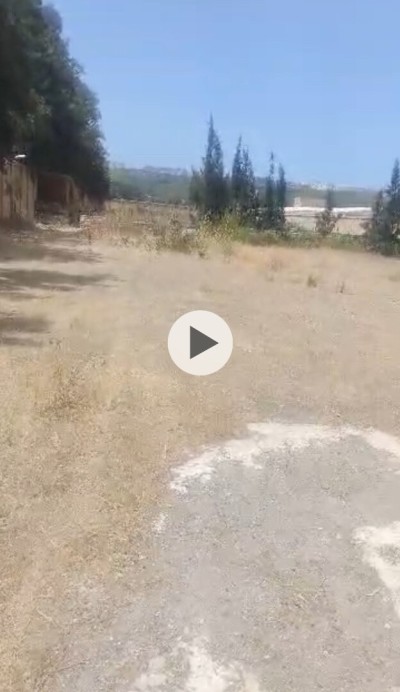 Sell Hangar - Factory Tipaza Kolea