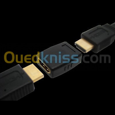 Adaptateur HDMI HDMI