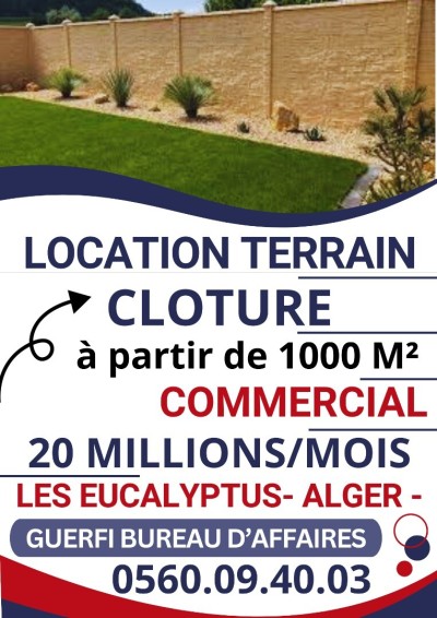 Location Terrain Alger Les eucalyptus