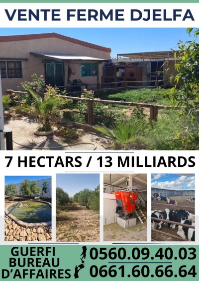 Vente Terrain Agricole Djelfa Djelfa