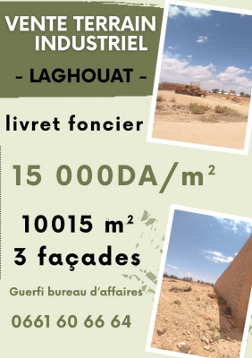 land-sell-laghouat-algeria