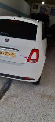 automobiles-fiat-500-2023-chlef-algerie