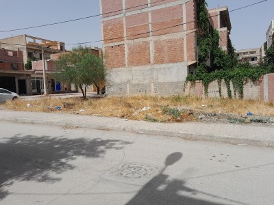 Vente Terrain Constantine Ain smara
