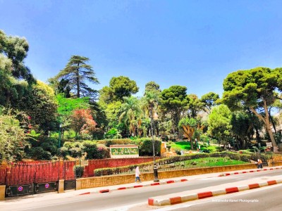 Rent Apartment Penthouse F5 Alger El biar