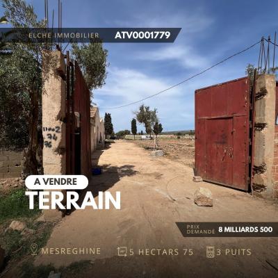 بيع أرض وهران مسرغين