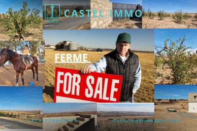 بيع أرض فلاحية وهران وهران