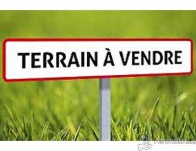 Vente Terrain Alger Birkhadem
