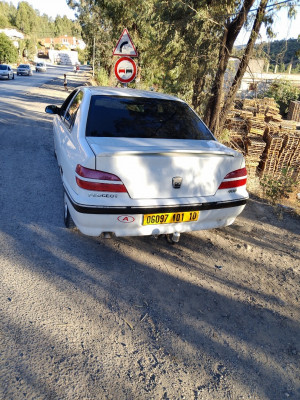 berline-peugeot-406-2001-aomar-bouira-algerie