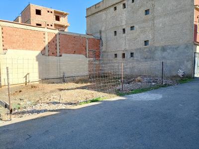 Sell Land Blida Chebli