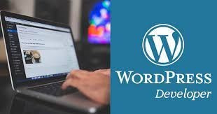 informatique-internet-developpeur-wordpress-senior-bab-ezzouar-alger-algerie