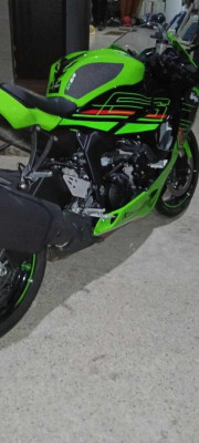 motos-et-scooters-kawasaki-zx6r-636-2024-ain-temouchent-algerie