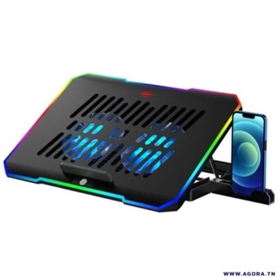 Refroidisseur Professional Pour Laptop Jusqu'À 17" HV-F2069 HAVIT