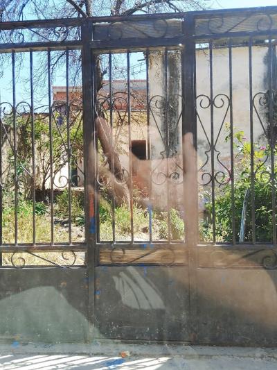 بيع أرض البليدة أولاد يعيش