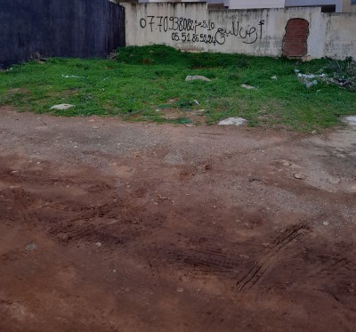 Vente Terrain Tipaza Bou ismail