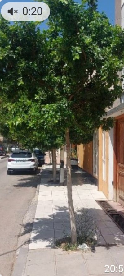 بيع أرض الجزائر المحمدية