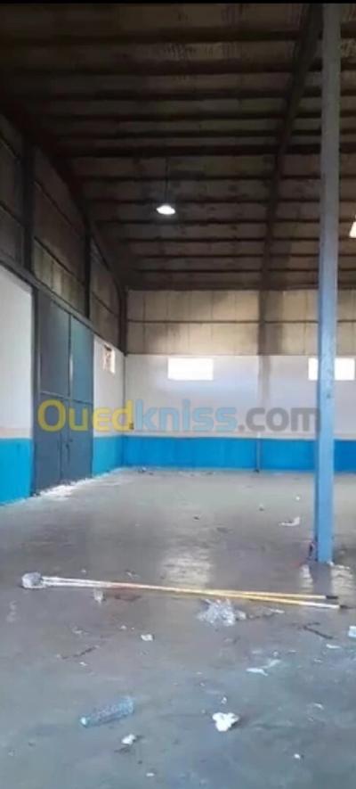 كراء مستودع - مصنع الجزائر الرويبة