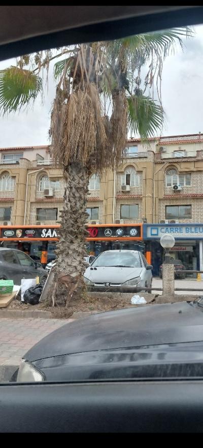 كراء شقة طابق فيلا 10+ غرف الجزائر المحمدية