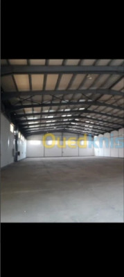 Location Hangar Alger Oued smar