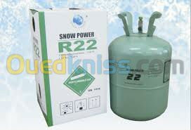 algiers-ben-aknoun-algeria-refrigeration-air-conditioning-reparation-clim-recharge-de-gaz-r22