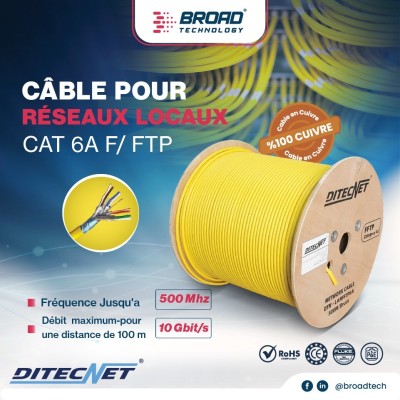 Cable réseau CAT6A F/FTP DITECNET 