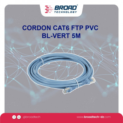 CORDON CAT6 FTP PVC BL-VERT 5M