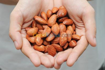 alger-cheraga-algerie-traiteurs-gateaux-vente-d-amandes