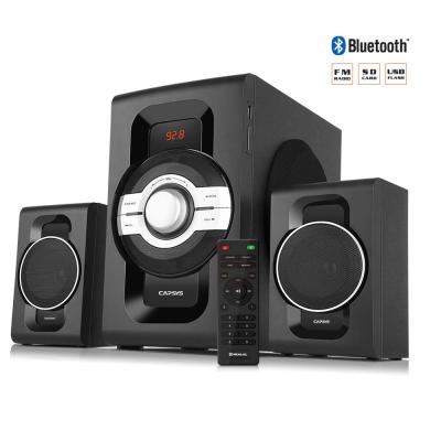 CAPSYS ECO 16 Haut-Parleur Bluetooth 60W avec Radio FM, USB, SD, AUX IN et Télécommande