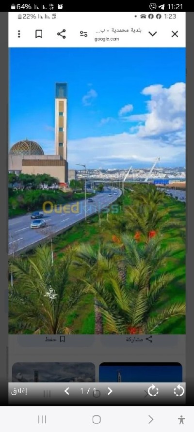 Vente Terrain Alger Mohammadia