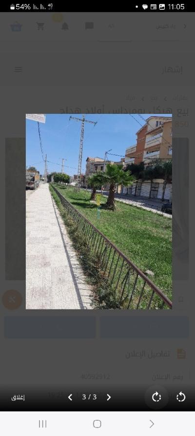 Vente Carcasse Boumerdès Ouled hedadj