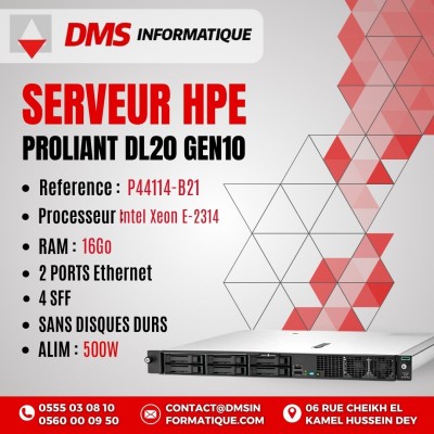 Serveur HPE ProLiant DL20 Gen10+ Rackable 2U Intel Xeon E-2314 16 Go