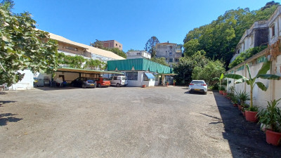 local-location-alger-kouba-algerie