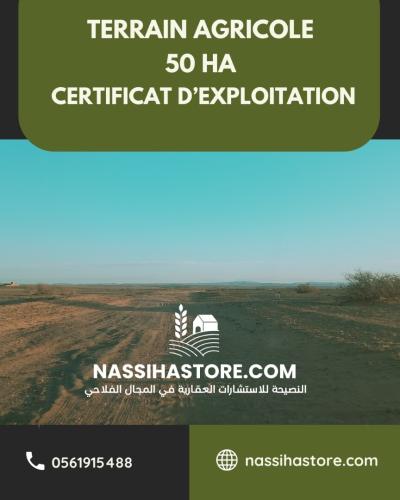 Vente Terrain Agricole Djelfa Birine