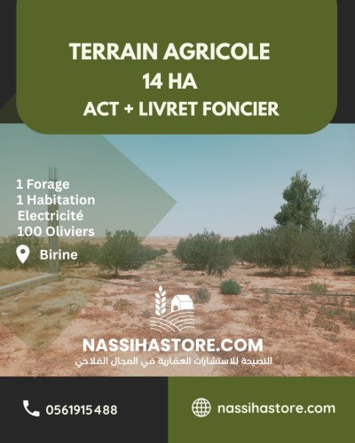 Vente Terrain Agricole Djelfa Birine