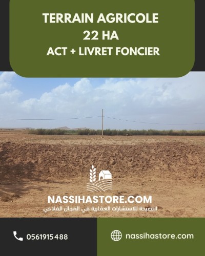 Vente Terrain Agricole Djelfa Mouadjebar