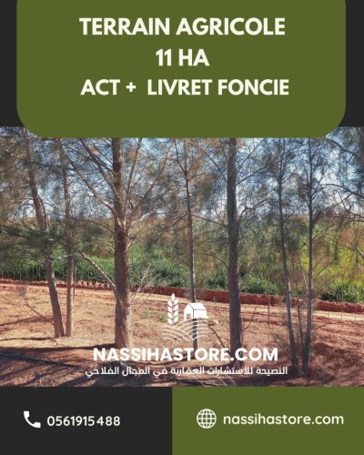 Vente Terrain Agricole Djelfa Ain oussara