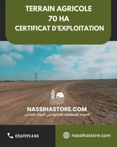 Vente Terrain Agricole Djelfa Ain oussara