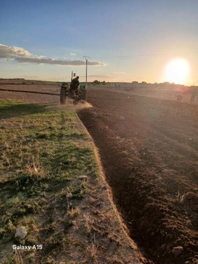 Vente Terrain Agricole Djelfa Had sahary