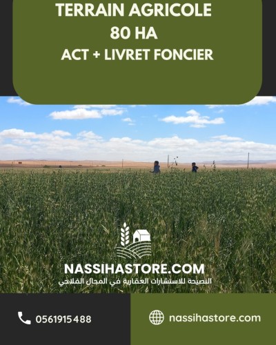 Vente Terrain Agricole Djelfa Djelfa