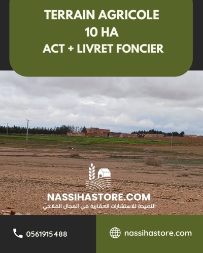 Vente Terrain Agricole Djelfa Had sahary