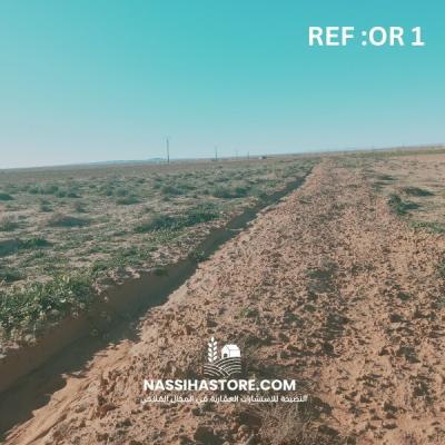 Vente Terrain Agricole Djelfa Zaafrane