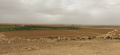 Vente Terrain Agricole Tiaret Tiaret