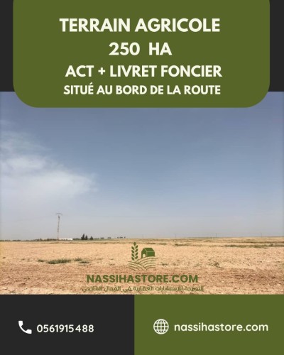 Vente Terrain Agricole Djelfa Sidi ladjel