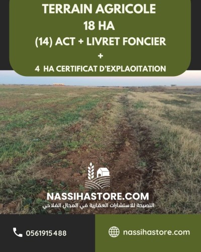 Vente Terrain Agricole Djelfa Ain oussara