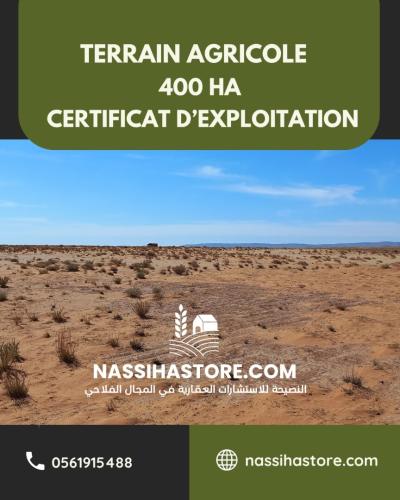 Vente Terrain Agricole Djelfa Djelfa