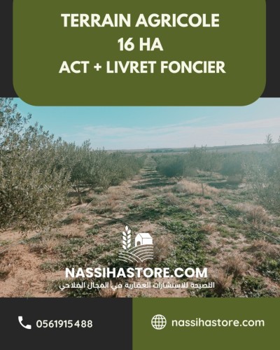 Vente Terrain Agricole Djelfa Ain oussara