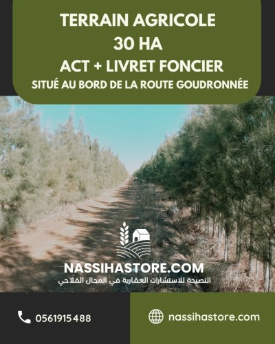 Vente Terrain Agricole Djelfa Djelfa