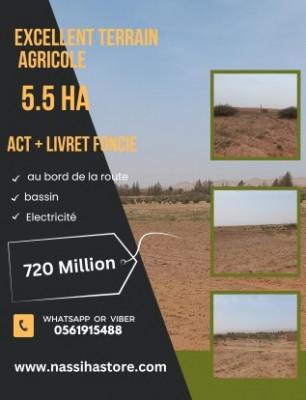 terrain-agricole-vente-djelfa-algerie