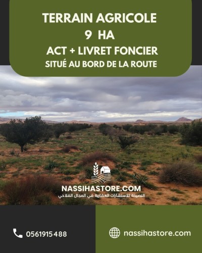 Vente Terrain Agricole Djelfa Ain oussara