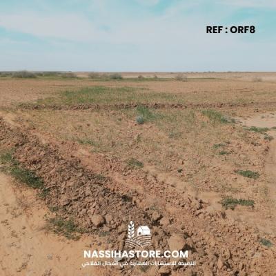 Vente Terrain Agricole Djelfa Birine